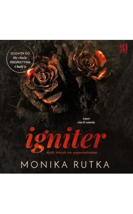 Igniter. Myśli, których nie wypowiedziałem - Monika Rutka - Audiobook - 978-83-289-1056-0