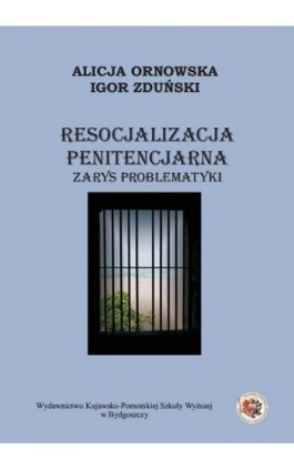 Resocjalizacja penitencjarna. Zarys problematyki - Igor Zduński - Ebook - 978-83-89914-69-9