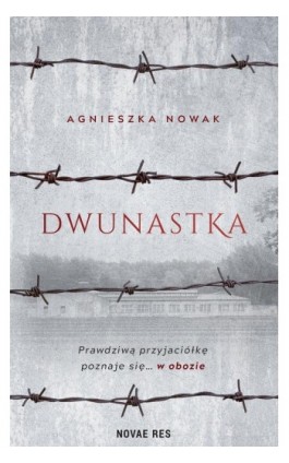 Dwunastka - Agnieszka A. Nowak - Ebook - 978-83-8313-700-1