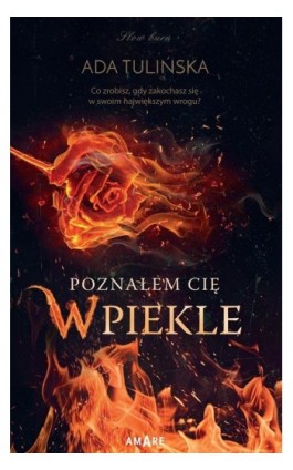 Poznałem Cię w piekle - Ada Tulińska - Ebook - 978-83-8313-602-8