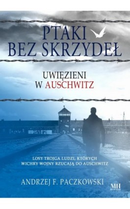Ptaki bez skrzydeł - Andrzej F. Paczkowski - Ebook - 978-83-8290-413-0