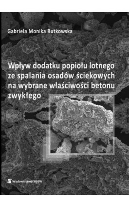 Wpływ dodatku popiołu lotnego ze spalania osadów ściekowych na wybrane właściwości betonu zwykłego - Gabriela Rutkowska - Ebook - 978-83-8237-183-3