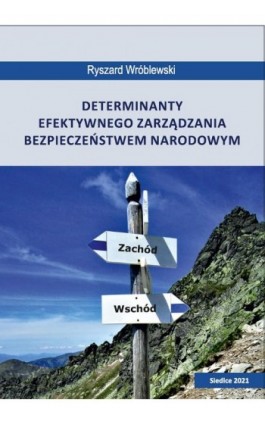 Determinanty efektywnego zarządzania bezpieczeństwem narodowym - Ryszard Wróblewski - Ebook - 978-83-66541-79-5