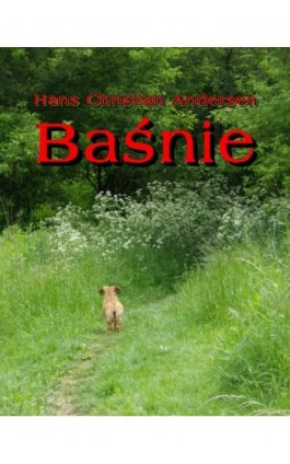 Baśnie Andersena - Hans Christian Andersen - Ebook - 978-83-7950-271-4