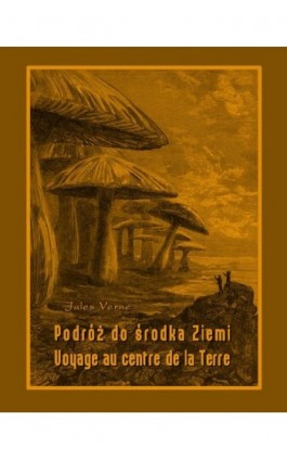 Podróż do środka Ziemi. Voyage au centre de la Terre - Jules Verne - Ebook - 978-83-7950-402-2
