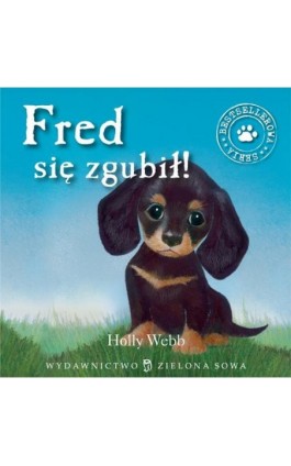 Fred się zgubił - Holly Webb - Audiobook - 978-83-7895-630-3