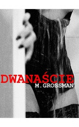 Dwanaście - M. Grossman - Ebook - 978-83-938088-3-0