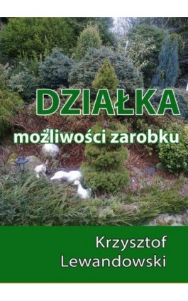 Działka. Możliwości zarobku - Krzysztof Lewandowski - Ebook - 978-83-7859-456-7