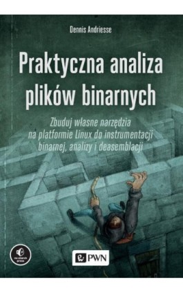 Praktyczna analiza plików binarnych - Dennis Andriesse - Ebook - 978-83-01-21224-7