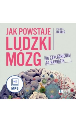 Jak powstaje ludzki mózg - William A. Harris - Audiobook - 978-83-01-23437-9