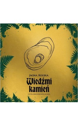 Wiedźmi kamień - Jagna Rolska - Audiobook - 978-83-67690-73-7