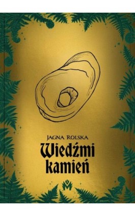 Wiedźmi kamień - Jagna Rolska - Ebook - 978-83-67690-72-0