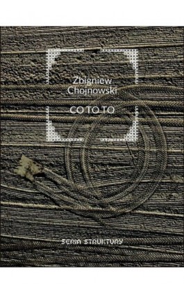 Co to to - Zbigniew Chojnowski - Ebook - 978-83-67460-57-6