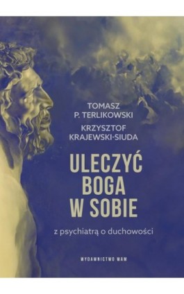 Uleczyć Boga w sobie. Z psychiatrą o duchowości - Tomasz P. Terlikowski - Ebook - 978-83-277-3565-2
