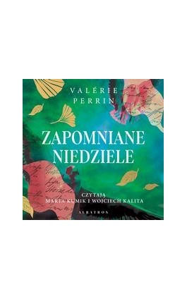 ZAPOMNIANE NIEDZIELE - Valerie Perrin - Audiobook - 978-83-8361-083-2