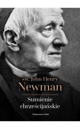 Sumienie chrześcijańskie - John Henry Newman - Ebook - 978-83-277-2327-7