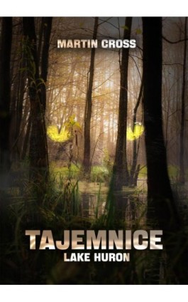 Tajemnice Lake Huron - Martin Cross - Ebook - 978-83-8166-417-2