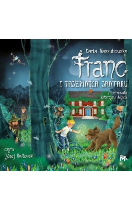 Franc i tajemnica Jantaru - Daria Kaszubowska - Audiobook - 978-83-67690-31-7