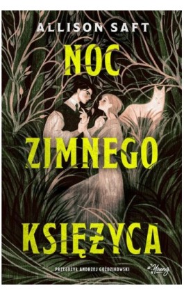 Noc Zimnego Księżyca - Allison Saft - Ebook - 978-83-8371-145-4